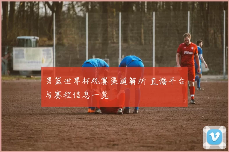 男篮世界杯观赛渠道解析 直播平台与赛程信息一览