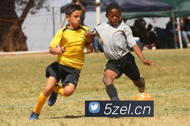 App Interface Preview